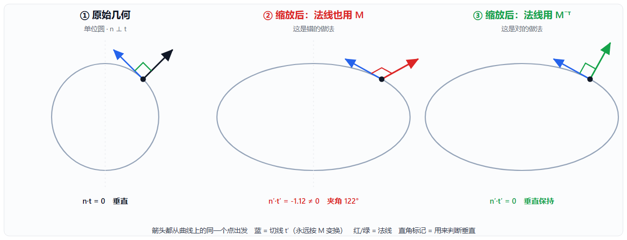 非均匀缩放破坏垂直性：同一个点上的切线与法线，左边是原始圆，中间是用 M 变换法线（歪了 32°），右边是用 M⁻ᵀ 变换法线（保持垂直）
